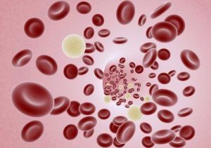 cervene-krvinky